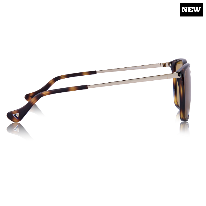 Hyperlight Eyewear, Panama Havana Man HE-PANH