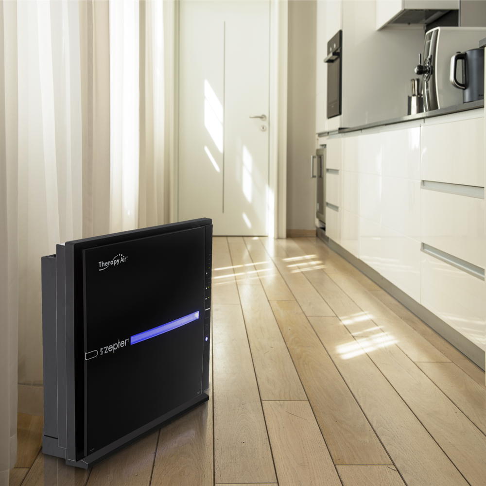 Air Purifier Therapy Air IOn (Black) PWC-570B