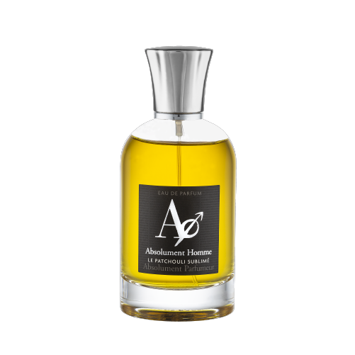 Perfumes Absolument Homme 100ml PAP-AH-100